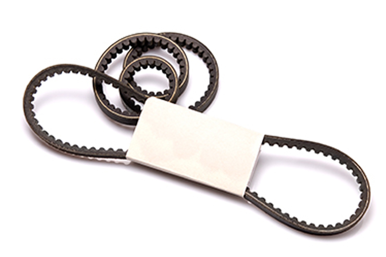 ベルト・ホース